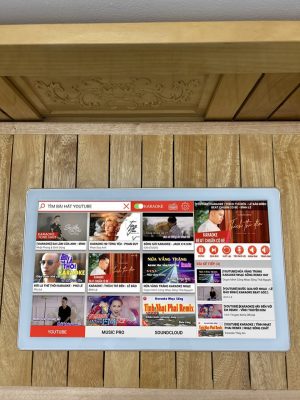 Màn hình cảm ứng 22″ có dây điện dung SLM